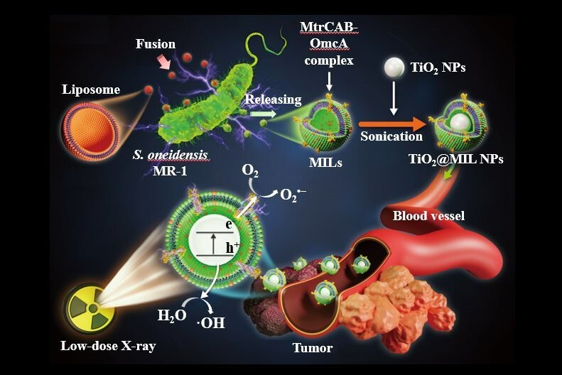 Nature Nanotechnology: NCKU Nanomedicine Milestone Research On Coated Bacteria To Suppress Cancer With Low-Dose Irradiation.