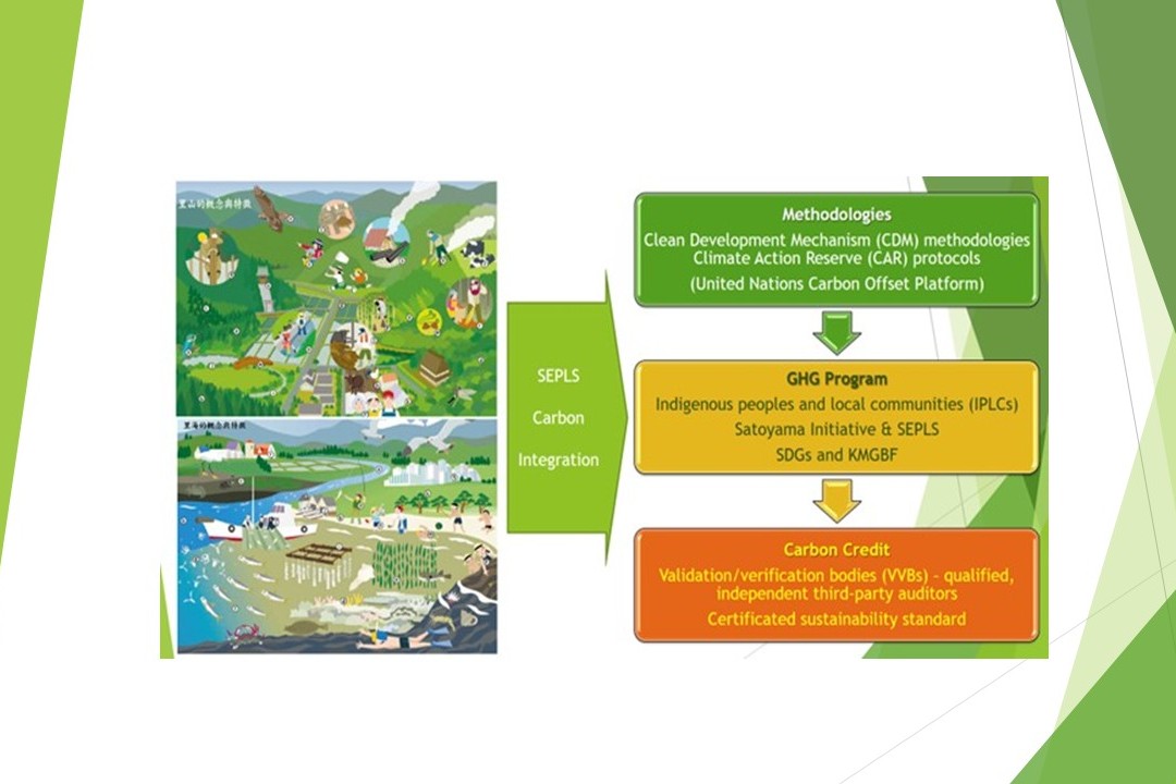 NCKU Leads Global Satellite–Ground Integration Project to Build a Biodiversity Carbon Credit Verification System